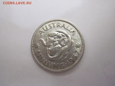 шиллинг Австралия 1957 до 27.08.16 - IMG_4169.JPG