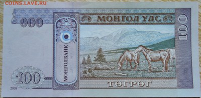МОНГОЛИЯ - 100 тугриков 2008 г. пресс до 01.09 в 22.00 - DSCN7009