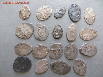 Чешуя-19 шт. До 23.00.мск 25.08.16. - IMG_4345.JPG