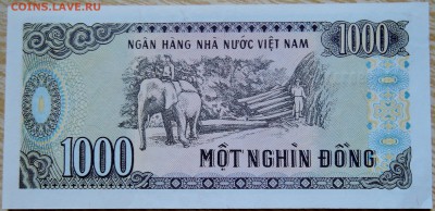 ВЬЕТНАМ - 1000 донгов 1988 г. пресс до 02.09 в 22.00 - DSCN7047