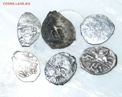 шесть чешуек - DSC06107.JPG