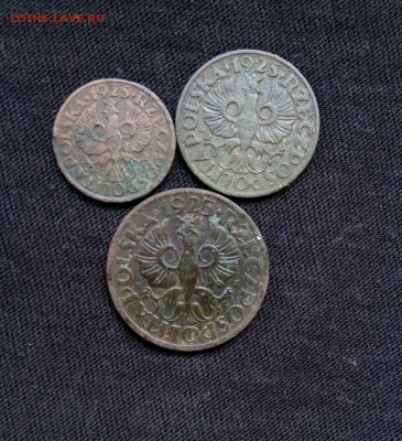 1,2,5 грошей 1925 Польша,до 29.08. - vYLMIMoomEE