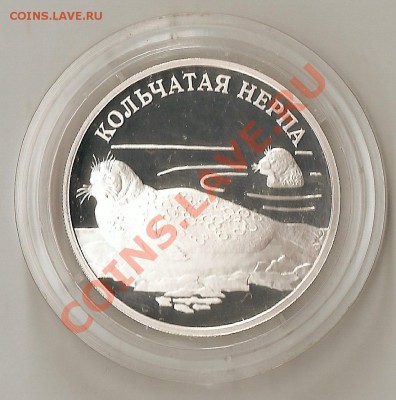 1 рубль 2007г Кольчатая нерпа до 5.12.10 пд 23.00 по МСК - ScannedImage-181