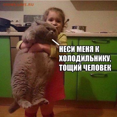 веселые картинки - 1472153319_20