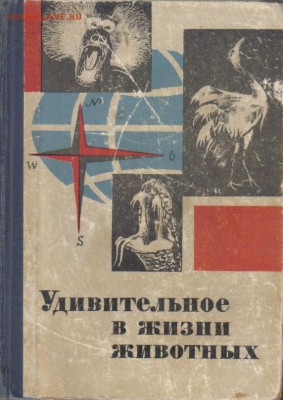 Книги о природе и животных 6шт до 29.08 22.00мск - Удивительное в жизни животных