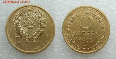 5 копеек 1955 года - SAM_5404_croped.JPG