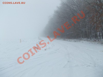 ФОТООТЧЕТЫ ПО ВЫЕЗДАМ 2010г. - Изображение 340
