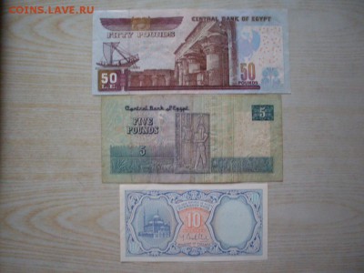 ЕГИПЕТСКИЕ фунты  :50+5 (дешевле курса)до 04.09.2016 23-59 - SDC12409.JPG