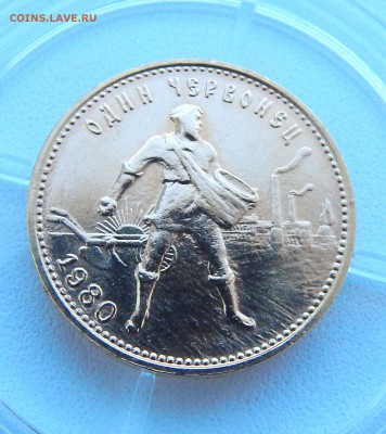 ЧЕРВОНЕЦ СЕЯТЕЛЬ 1980 (ммд),1981 (ммд) - DSCN4738.JPG