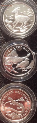 КК 2006 до 5.09 в 19.00 - image