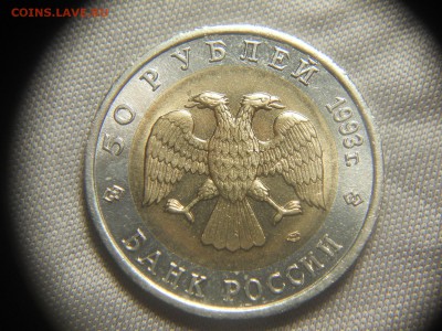 Красная книга: Гималайский Медведь 50руб 1993г  26.08 - DSCN9958.JPG