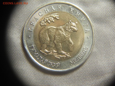 Красная книга: Гималайский Медведь 50руб 1993г  26.08 - DSCN9963.JPG