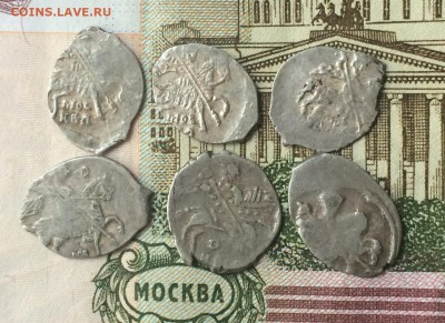 Чешуя 6 шт. до 05.09.16 - IMG_1817.JPG