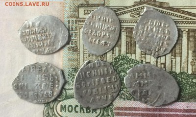Чешуя 6 шт. до 05.09.16 - IMG_1816.JPG