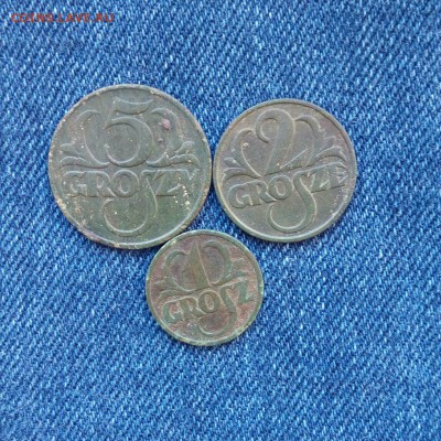 1,2,5 грошей 1928 Польша,до 04.09. - cci93ov7nD0