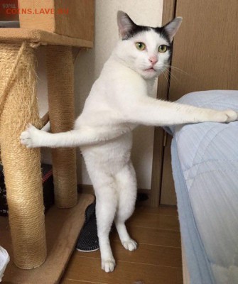 делает - прямо сейчас !!! - image