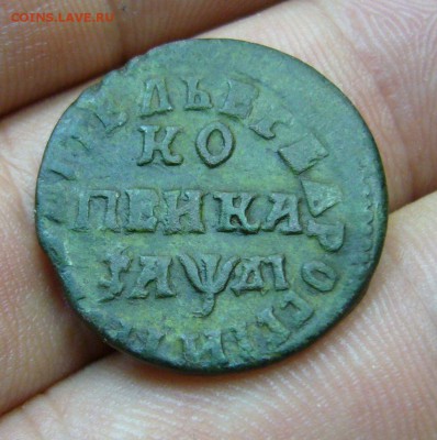 Копейка петровская 1714 НД - 01-09-16 - 23-10 мск - 11