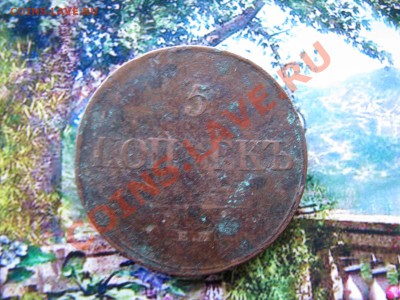 5 коп. 1831 г. до 10 декабря - IMG_8107.JPG