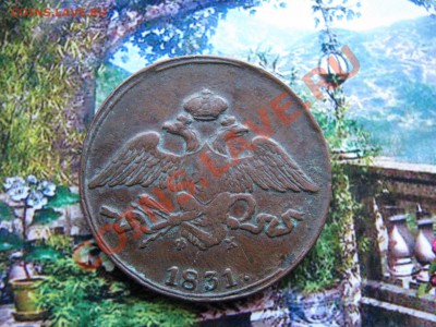 5 коп. 1831 г. до 10 декабря - IMG_8104.JPG