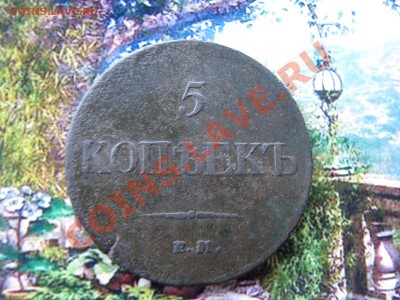 5 коп. 1833 г. до 10 декабря - IMG_8112.JPG