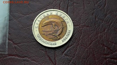 Афалина красная 93 года. 05.09. - IMG_20160831_124023_24