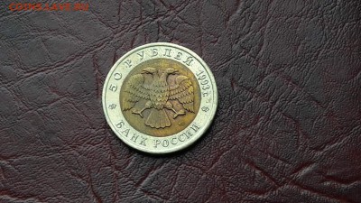 Афалина красная 93 года. 05.09. - IMG_20160831_124016_23