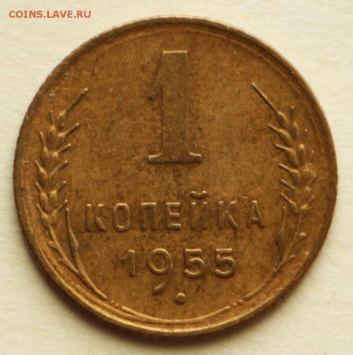 1 копейка 1955,56,57 год.  ** хорошие ** 8,09,16 в 22,00 - IMG_3077.JPG