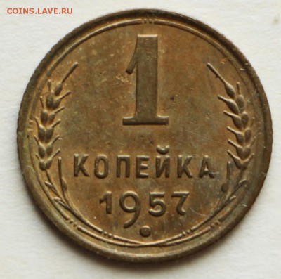 1 копейка 1955,56,57 год.  ** хорошие ** 8,09,16 в 22,00 - IMG_3081.JPG