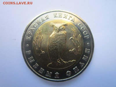 кк 1991 филин полный раскол- на оценку - IMG_0460.JPG