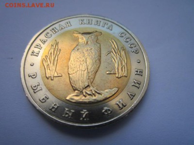 кк 1991 филин полный раскол- на оценку - IMG_0461.JPG