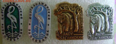 заповедники Казахстана-4шт.(второй),09.09.16,22-00мск - DSC00750.JPG