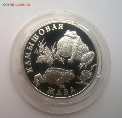 1 рубль 2004 Камышовая жаба красная книга серебро Оценка - WP_20160904_15_23_35_Pro