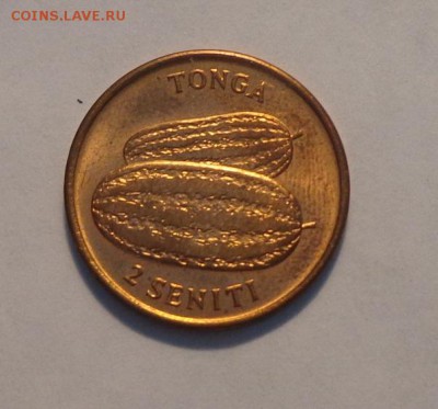 ТОНГА - АРБУЗЫ ФАО до 11.09, 22.00 - Тонга 2 с ФАО арбузы