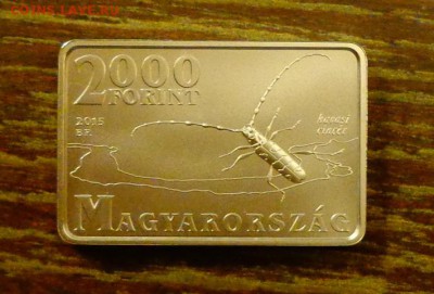 ВЕНГРИЯ - ЖУК-ДРОВОСЕК до 11.09, 22.00 - Венгрия 2000 ф Жук прямоугольная