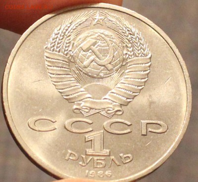 год мира шалаш - год мира шалаш рев