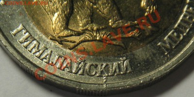 Кр. книга (bm): Медведь и Козел - брак (выкрошка штемпеля?) - медведь 1