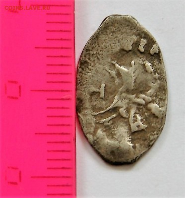 16 чешуек - DSC06223.JPG