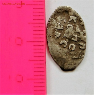16 чешуек - DSC06224.JPG