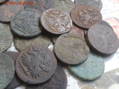 деньга-60 шт до 07.09.2016г до 22-30 - 20160901_100451