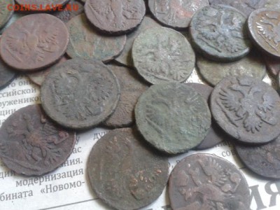 деньга-60 шт до 07.09.2016г до 22-30 - 20160901_100500