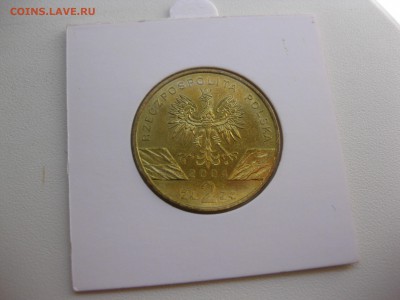 ПОЛЬША,2 злотых 2004(Морская свинья)до8.09.2016 - IMG_5983.JPG