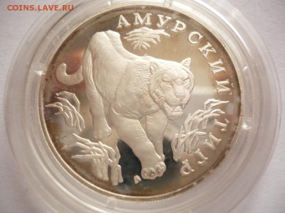 Кк. 1 руб. Амурский тигр 1993 г. до 22-00.09.09.16 г. мск - P1360774.JPG
