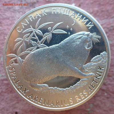 15 юб.монет Украины 1995-2009гг НИЗКИЙ СТАРТ и БЛИЦ до 12.09 - P1040261