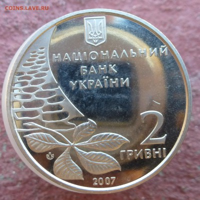 15 юб.монет Украины 1995-2009гг НИЗКИЙ СТАРТ и БЛИЦ до 12.09 - P1040278