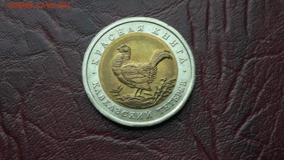 Красная книга 1993. Кавказский Тетерев. Хороши. 10.09 - IMG_20160831_124026_25