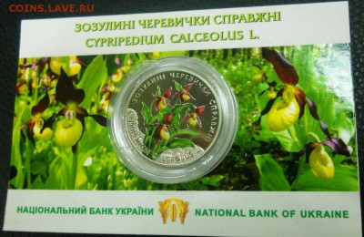 НОВИКИ ВСЕ УКРАИНА,США, ПРИДНЕСТРОВЬЕ, КАЗАХСТАН. ТУРЦИЯ!! - DSCN9895.JPG