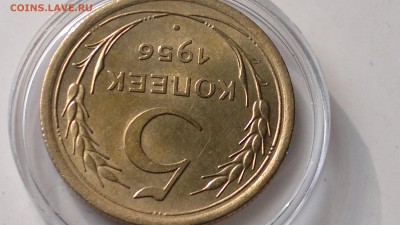 5 КОПЕЕК 1956 СТАРТ 04.09.16 - 2016-09-06-694