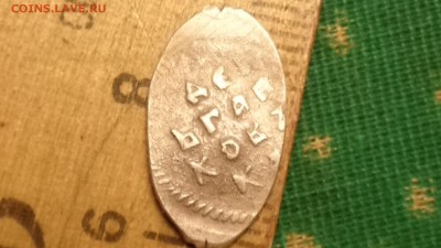 чешуйка на оценку - DSC04039.JPG