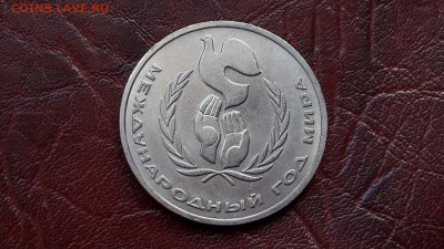 Шалаш. 13.09. - IMG_20160907_140511_6