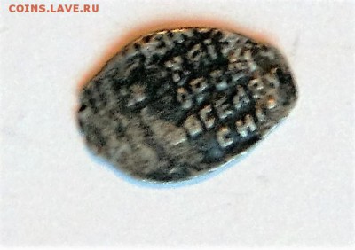 9 чешуек - DSC06270.JPG